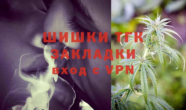 PSILOCYBIN Верея